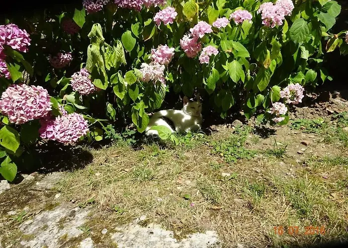 Vakantiehuis Maison Du Xveme Au Coeur Du Village Medieval *